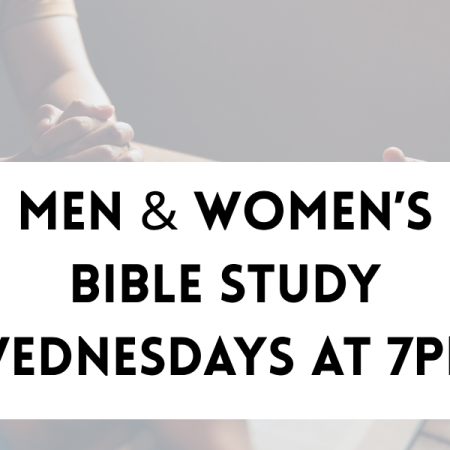 Bible Studies